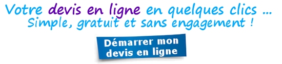 Votre devis en ligne en quelques clics Votre devis en ligne en quelques clics